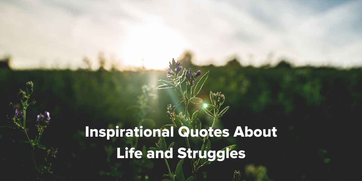 Inspirational Quotes About Life and Struggles