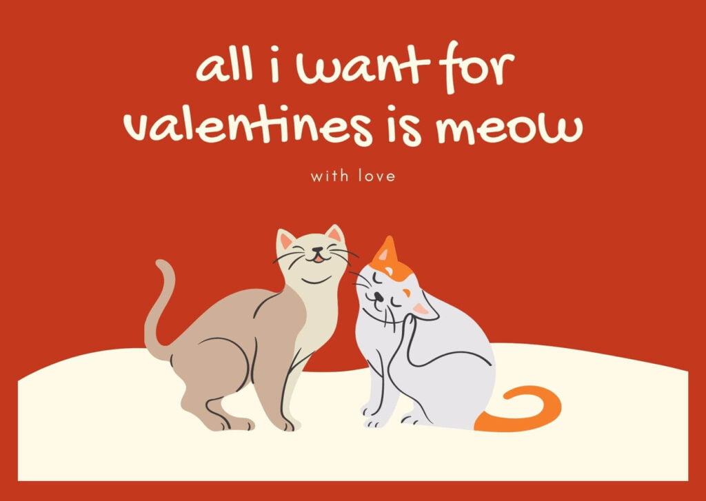 Valentine's Day Card for Cat