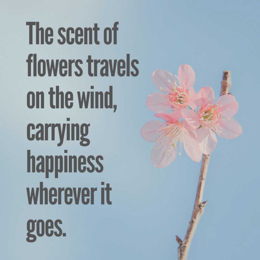 The scent of flowers travels on the wind, carrying happiness wherever it goes.