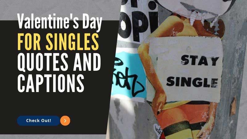 Valentine's Day for Singles Quotes and Captions
